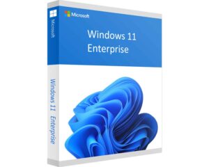 Image ISO Windows 11 Entreprise