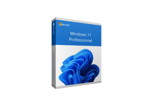 Immagine ISO Windows 11 Pro