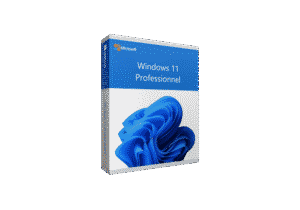 Windows 11 21H2